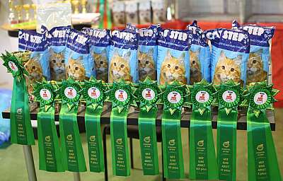 �������� ����� 18-19 ������� 2014 WCF-����� 169A3918 copy.jpg